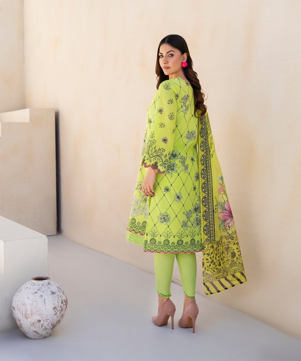 Verdant Mirage – Luxe Green Printed 3-Piece Set
