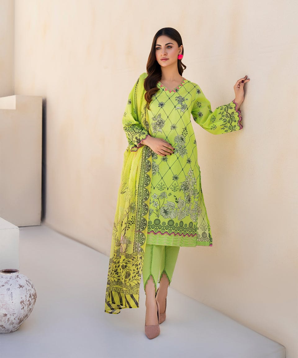Verdant Mirage – Luxe Green Printed 3-Piece Set